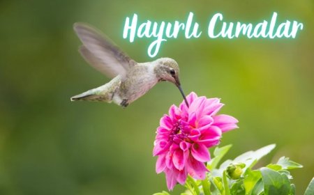 Kısa ve Anlamlı  Cuma Mesajları