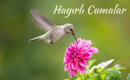 Mübarek Cuma Günü İçin İçten Mesajlar