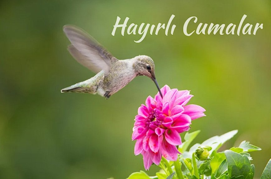 Mübarek Cuma Günü İçin İçten Mesajlar